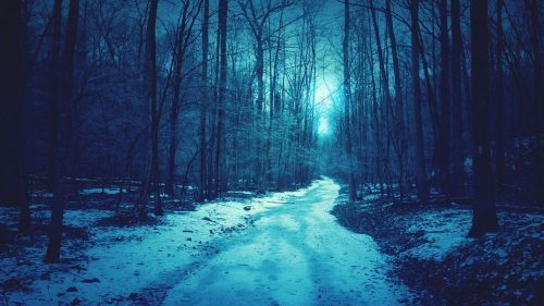 winter clear winter clear